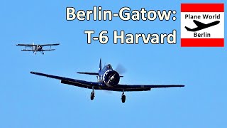 Berlin-Gatow North American T-6 Harvard D-Fsix Flyby Landing Flugplatzfest 2022