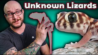 5 UNDERRATED LIZARDS YOU'VE NEVER HEARD OF!