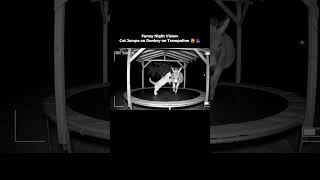 🐴🐱 Funny Night Vision: Cat Jumps on Donkey on Trampoline 😂🎥