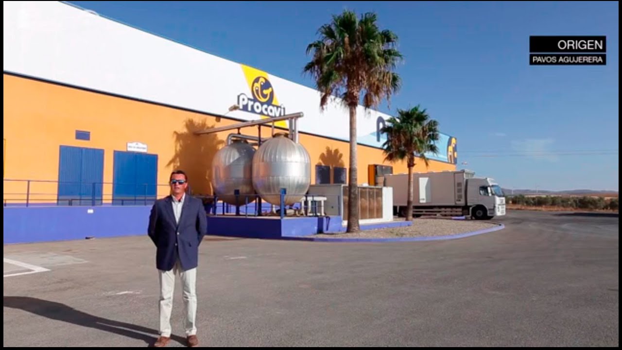 Agujerera y Procavi. El pavo en Guadalteba