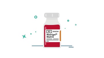 Corning Matrigel Matrix: The Original and Best Extracellular Matrix