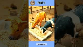 Mini Bricks Cow Shower Construction Begins! | DIY Farm Project Part 1