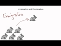 Immigration and Emigration