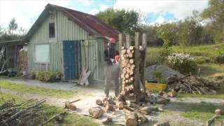 My vertical sawhorse for chainsawing long branches.