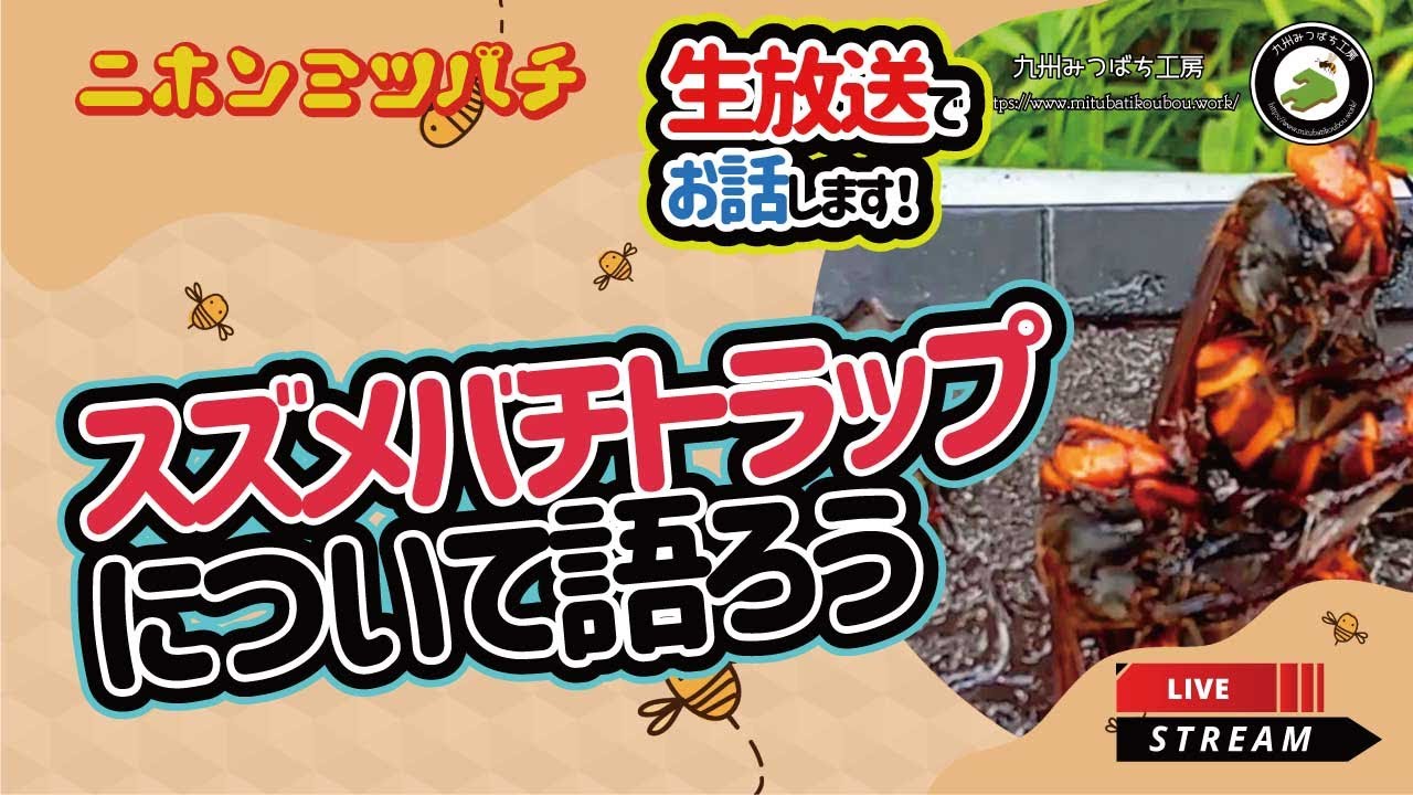 スズメバチトラップ ３個まとめ売り 市販のスズメバチトラップの選び方！誘引・毒エサ・粘着の違い | ハチ