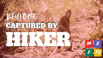 Bigfoot captured in wild viral video by terrified hiker: ‘Scariest moment of my life’