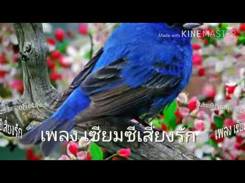 30. หญิง ที่ปลายฟ้า เพลง เซียมซีเสี่ยงรัก