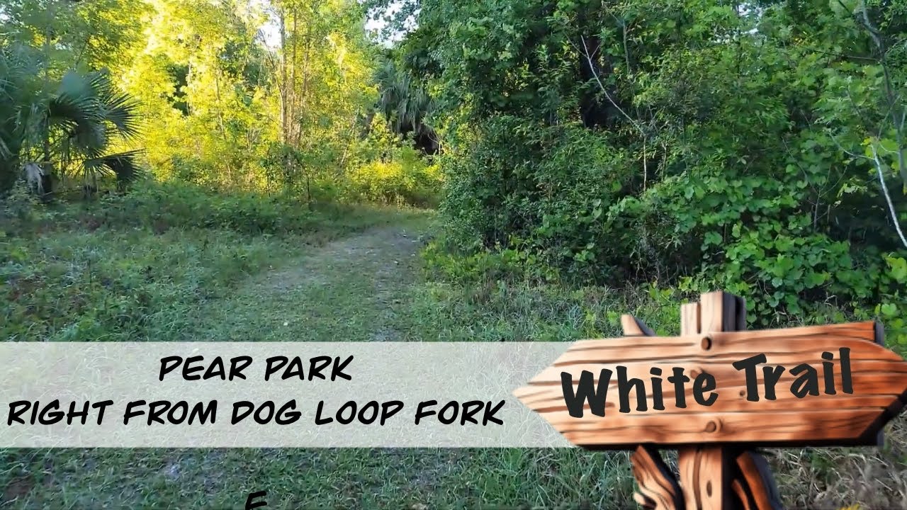 WHITE TRAIL: Right From Dog Loop Fork in Pear Park