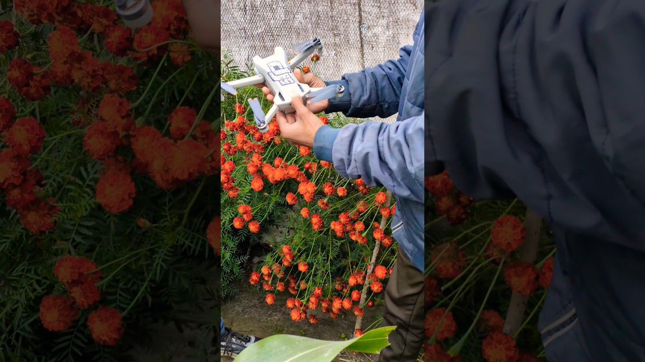 How to Setup DJI Mini 3  ✅  Beginner Friendly || DJI Mini 3 Drone shorts 