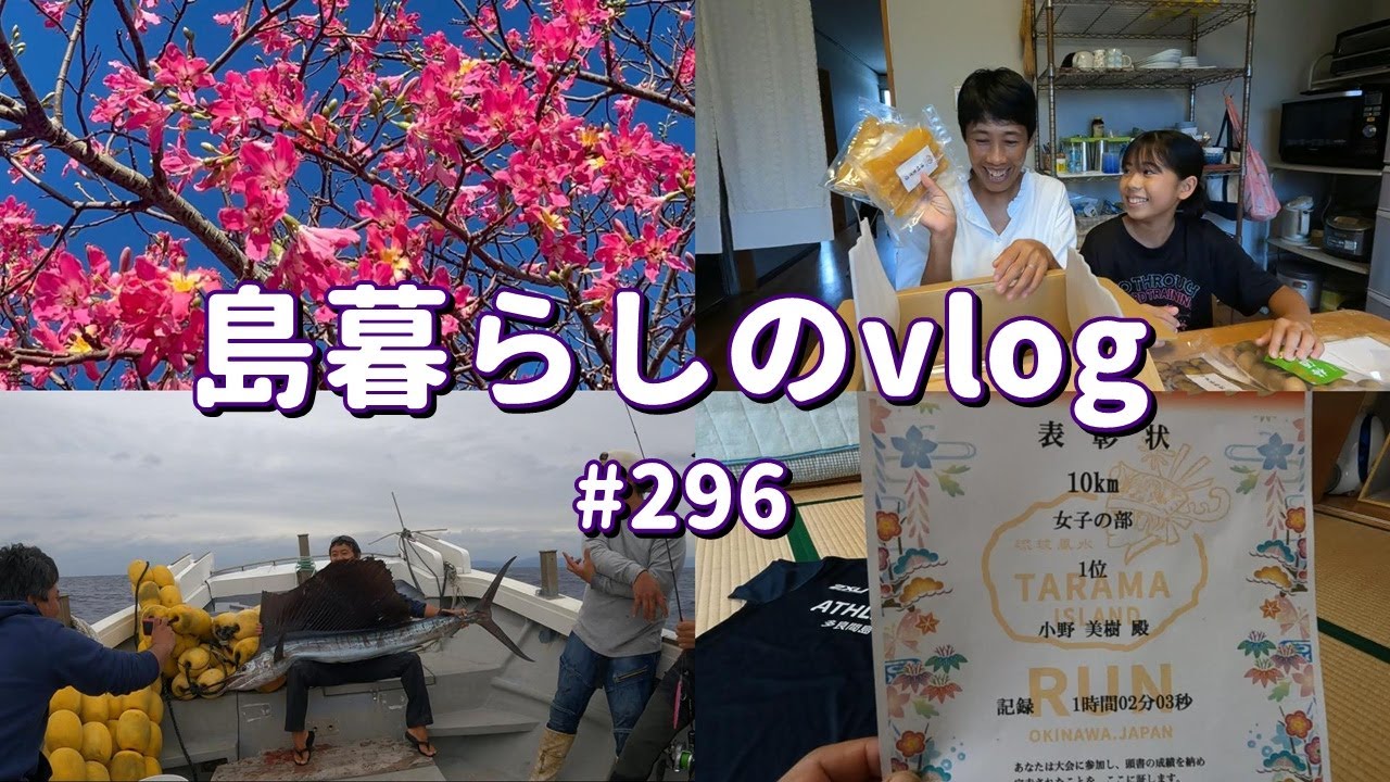 冬の西表島での様子をまとめました。