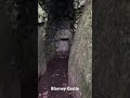 Step into the enchanting world of Blarney Witch's Kitchen,🍀🔮 #BlarneyWitchKitchen #pickinntripin