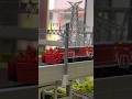 マイクロエース鉄道模型DD14ラッセル #Nゲージ #dd14 #鉄道模型 #microace