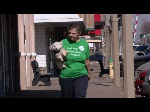 Wink - The One-Eyed Wonder Dog - Hatteberg's Peopl...