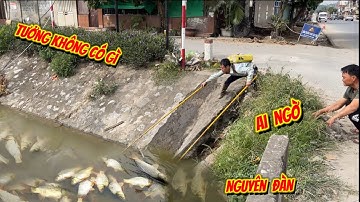 Dưới hang cống ngầm tưởng không có gì - Ai ngờ bắt được cả đàn cá -Fishing