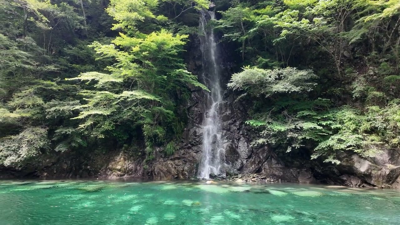 秘瀑 : 台高山脈珠玉の渓 秘瀑 : 台高山脈珠玉の渓 秘瀑 : 台高山脈珠玉の渓 秘瀑 : 台高山脈珠玉の渓