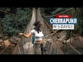 Meghalaya in 5 Days (Itinerary) - Cherrapunji | Mawphlang Sacred Forest | David Scott