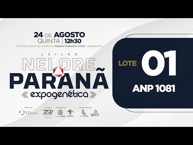 LOTE 01 ANP 1081