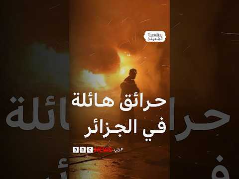 حرائق غابات جديدة في 10 ولايات جزائرية والسلطات تخمد معظمها