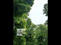 Moral of the Story - Ashe #lyrics #song #shorts