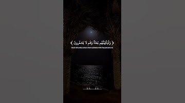 #قران_كريم #القارئ_عبدالرحمن_مسعد #اللهم_صل_وسلم_على_نبينا_محمد #اكسبلور #لايك