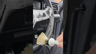 The Best Way To Remove Pet Hairs - Wait For The End To Find Out How #Satisfying #Detailing #Shorts