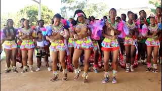 Zulu virgins dance  (Umhlonyane ceremony) transition to womanhood