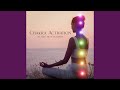 Chakra cleansing music