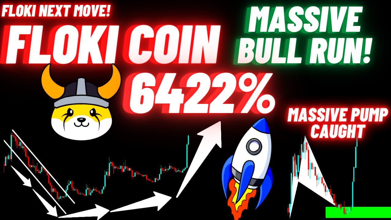Massive Bull Run Of FLOKI Crypto Coin - YouTube