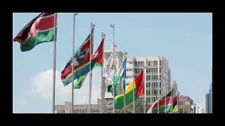 Roots and Revolutions A History of Pan Africanism Part 2