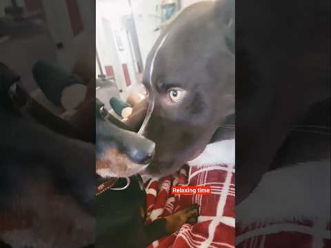 Relaxing And Cuddle Time