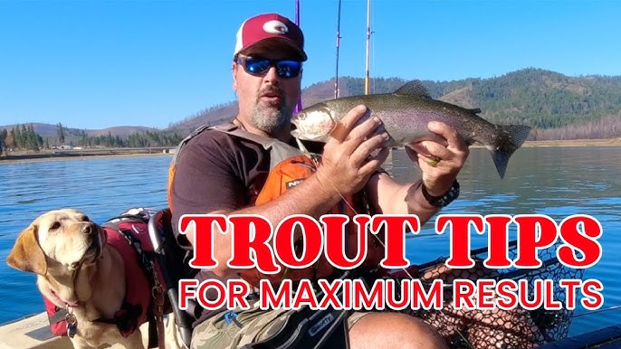 How To Catch Trout At Collins Lake 