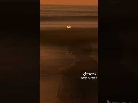 الزهر وماوقفش معايا دارتها بيا دنيا