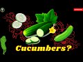 Cucumber Health Benefits || True Facts || Benefits Of Cucumber