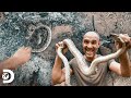 Come una boa Constrictor para no desfallecer | Ed Stafford al Extremo | Discovery Latinoamérica