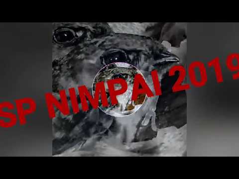 suara-panggil-walet-2019