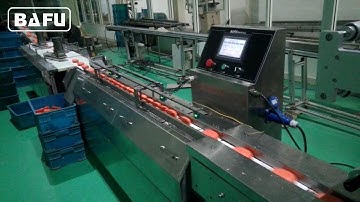 soap packaging machine, soap wrapping machine, soap packing machine, pillow packaging machine