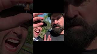 Celebrity Peter Stormare Attacks me! #shorts #actor #entertainment Profile