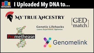 I Uploaded My DNA to Genomelink, My True Ancestry, GEDmatch, Promethease, and Genetic Lifehacks