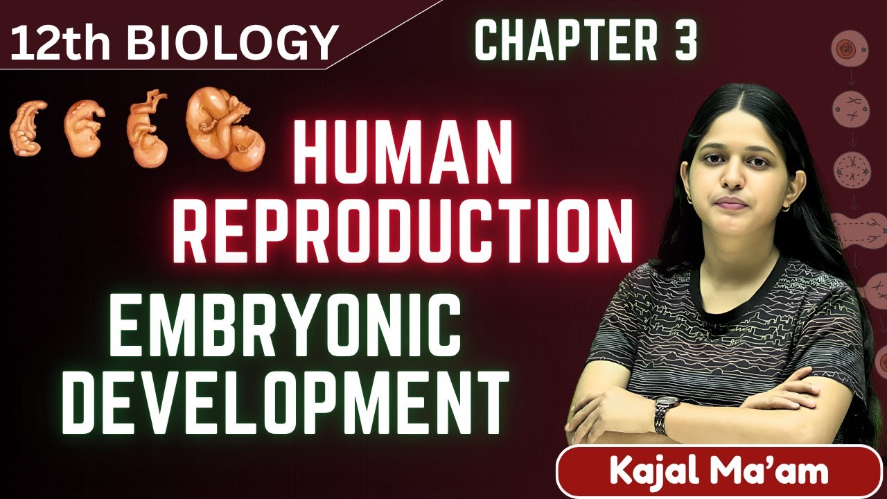 Embryonic Development | Class 12 Biology Chapter 3 | NCERT | NEET + CBSE | Kajal Ma’am