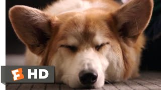 A Dog's Purpose (2017)  My Best Life Scene (7/10) | Movieclips