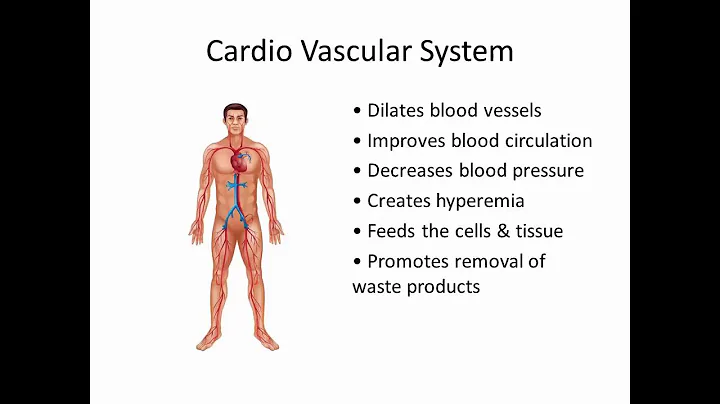 MBLEX PREP: Benefits and Physiological Effects of ...