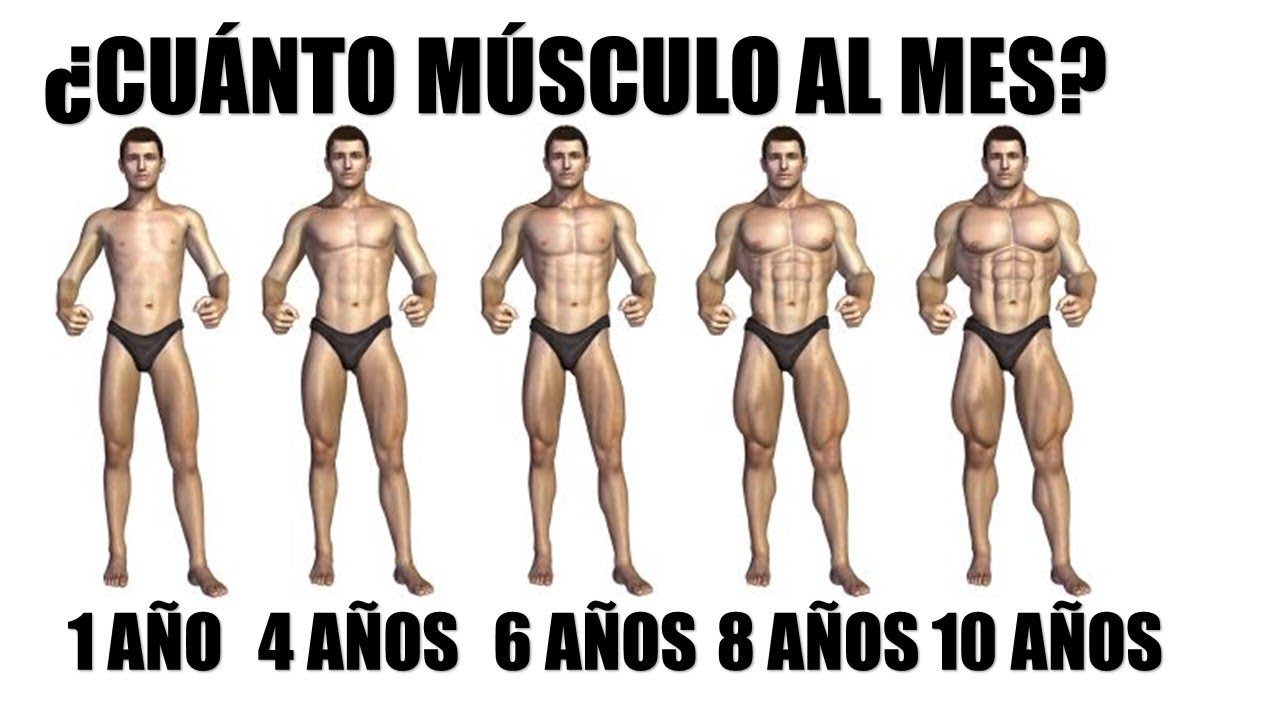 ¿Cuánto MÚSCULO se puede GANAR de forma NATURAL al MES en Hombres?