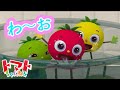 【新曲】わ~お!トマトちゃんの歌【いないいないばぁ】赤ちゃん泣き止む・寝る・笑う 【ミュージックビデオ】