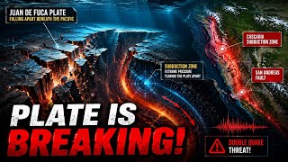 The Pacific Plate Is Breaking Apart! Scientists Warn of a Double Earthquake Threat
