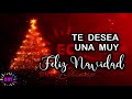 FELIZ NAVIDAD Y MUY EXITOSO AÑO 2020!