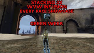 Gw2 Mistwalker Infusion 3X Stacking - Every Race Showcase - Green Week