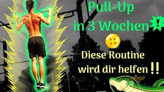 Pull-Up/Klimmzug in 3 Wochen !!| ►► Diese Routine wird Dir helfen !!