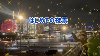 【はじめての夜景】#kero #カエル #frog #パペット #puppet #なまけもの #sloth #スロー #夜景