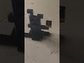 Foxy and Bonnie see When Phantom Freddy jumpscare by Luigi