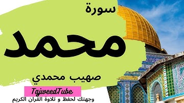 صهيب أحمد محمدي - سورة  محمد